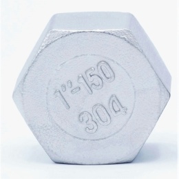 nerezová zátka (záslepka), typ 326, vnitřní závit 1"